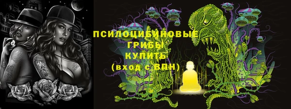 не бодяженный Аркадак
