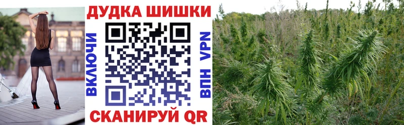 закладки  Валдай  Бошки Шишки сатива 